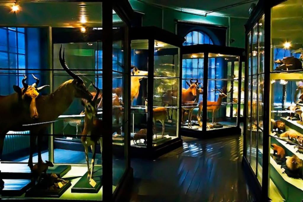 Spacious Historical Art Oasis In The City Center 베르겐 외부 사진